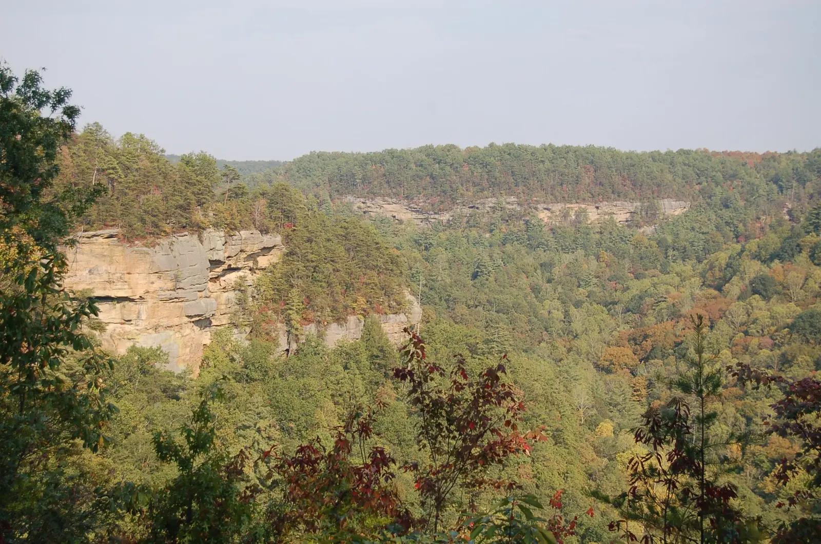 Red River Gorge Scenic Byway - Cliffs of the Red River Gorge - NARA - 7721198