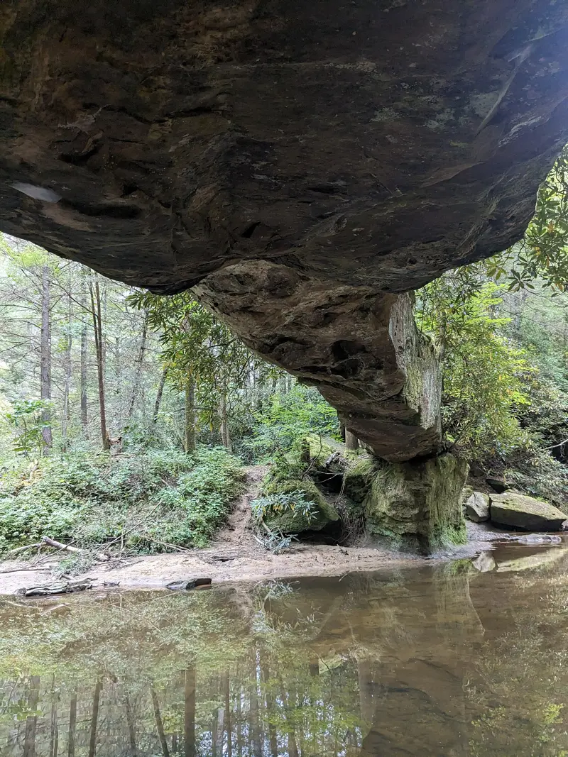 Rock Bridge Underside, Red River Gorge, Kentucky, USA