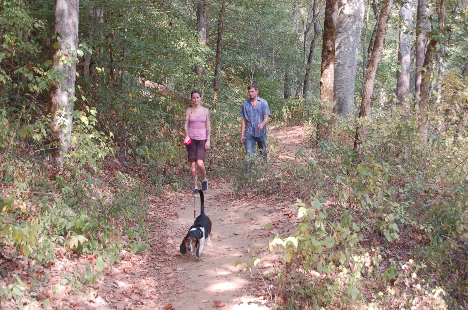 Red River Gorge Scenic Byway - Hiking the Sheltowee Trail in Red River Gorge Geological Area - NARA - 7721183