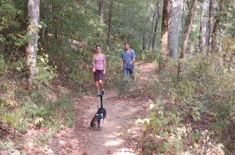 Red River Gorge Scenic Byway - Hiking the Sheltowee Trail in Red River Gorge Geological Area - NARA - 7721183