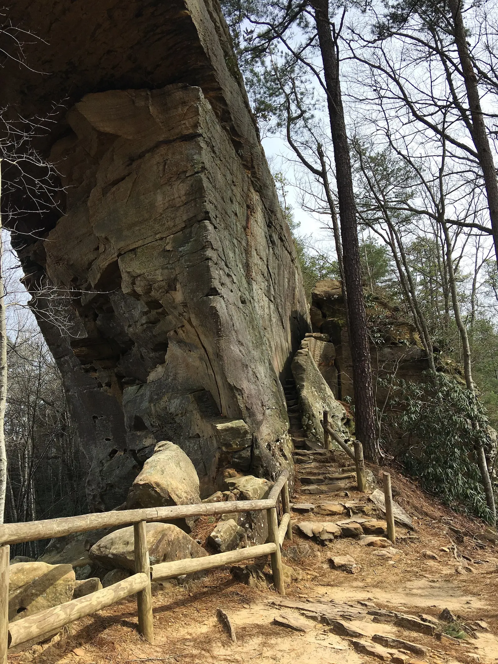 Natural Bridge State Resort Park in Slade, Kentucky (47613983601)