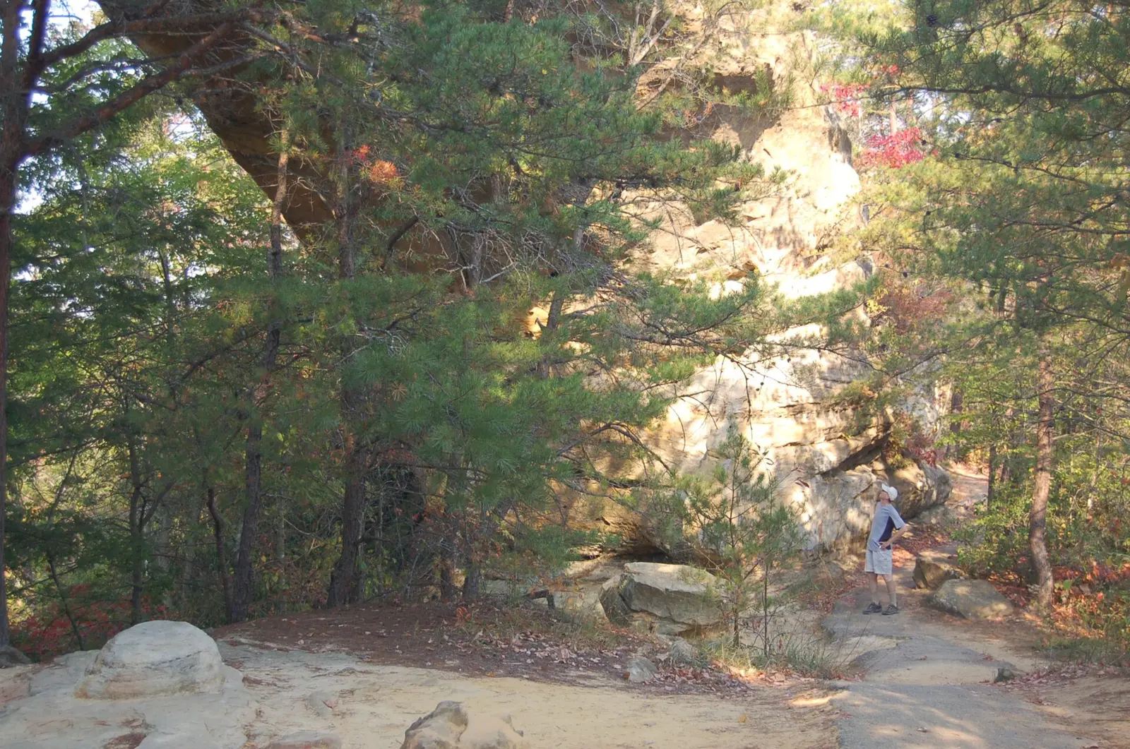 Red River Gorge Scenic Byway - Looking Up at Sky Bridge - NARA - 7721201